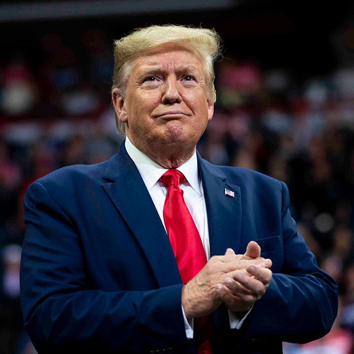 Help Trump Win 2024 Election